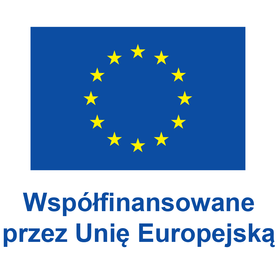 Współfinansowane przez Unię Europejską_POS