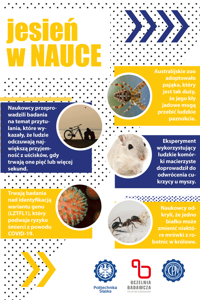 Plakat prezentujący różne wydarzenia naukowe. 5 wydarzeń opatrzonych komentarzem oraz zdjęciem.