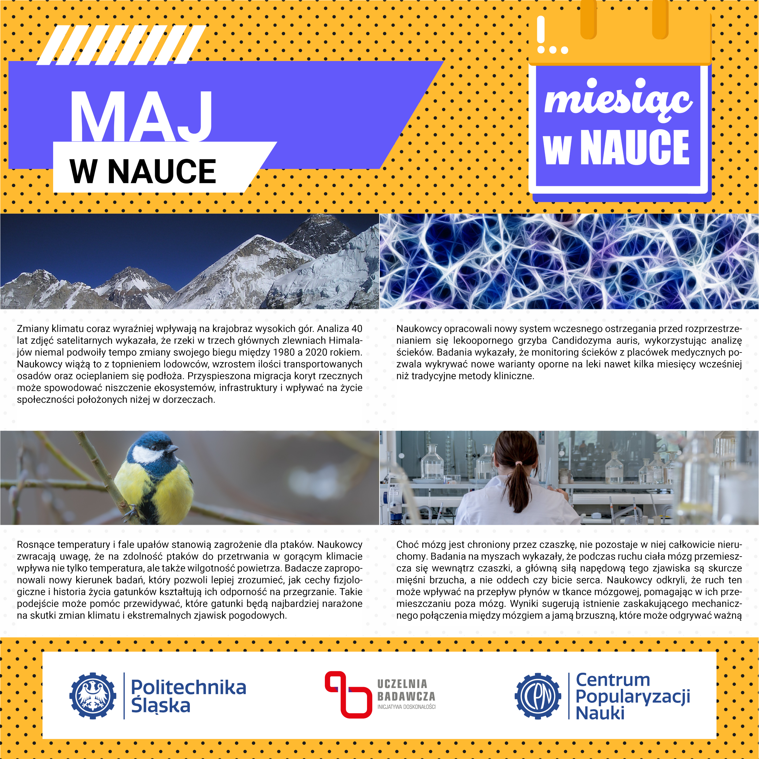 2026-06-10 MAJ w nauce 1080x1080 SZABLON NA 4