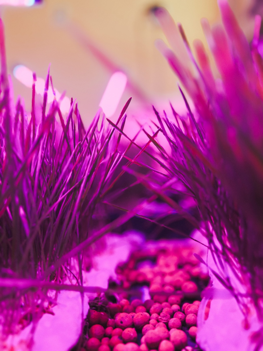 Bioanalityka zdjęcie 10Zm