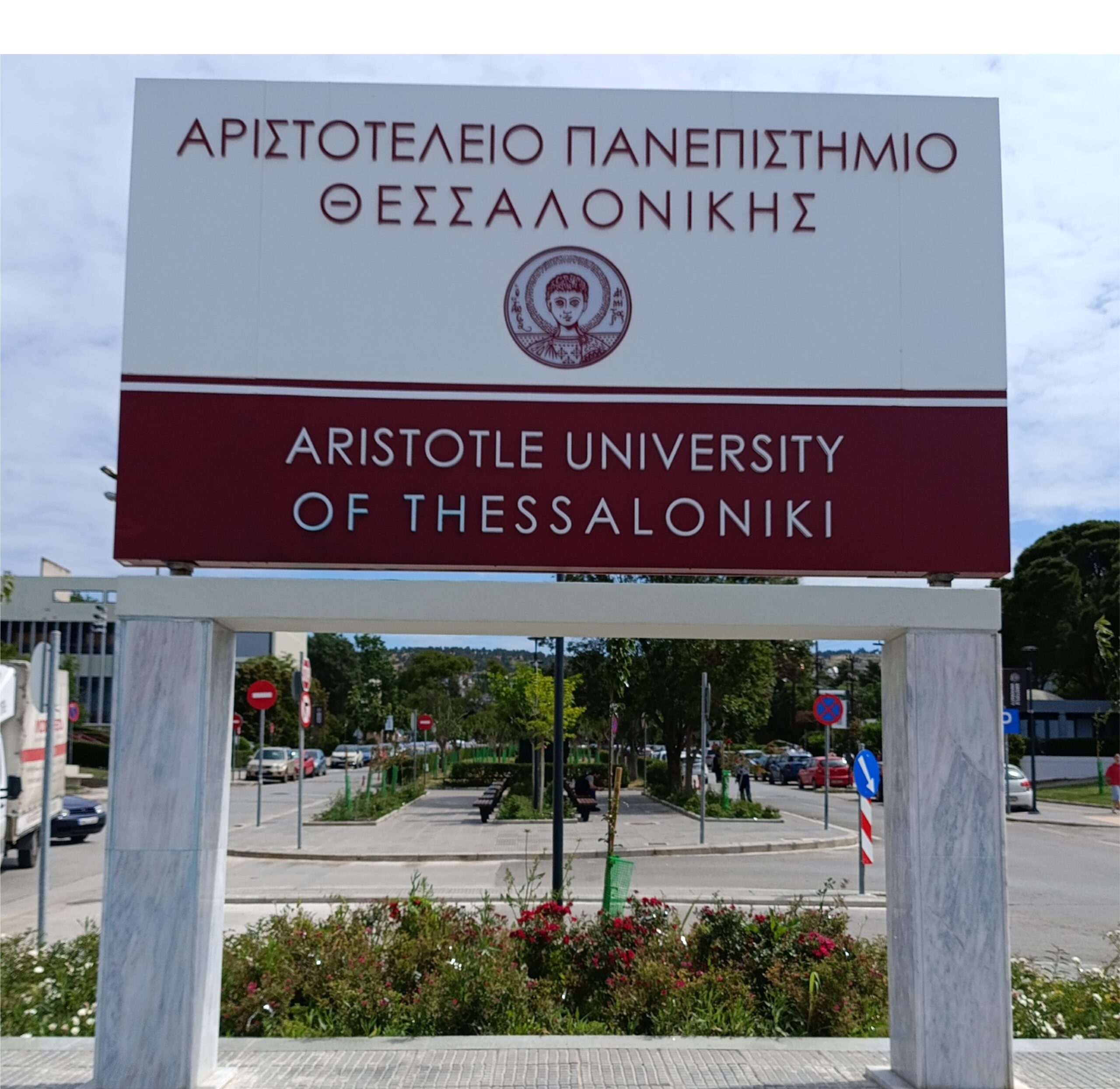 P. Struk Fotka Opto