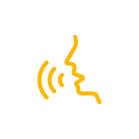 voice voice