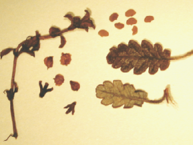 sample3