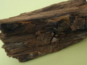 sample5