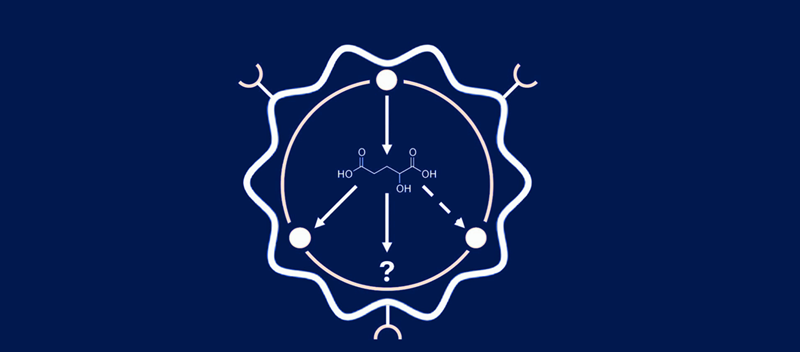 logo_poziom