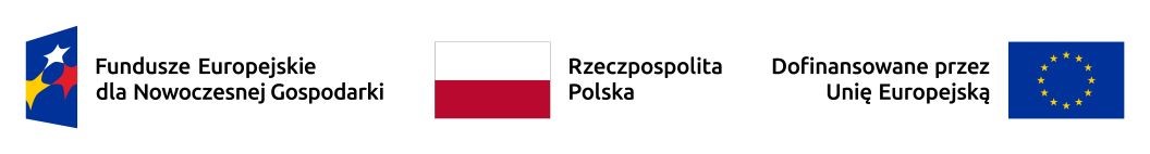 LOGO Funduszy Europejskich