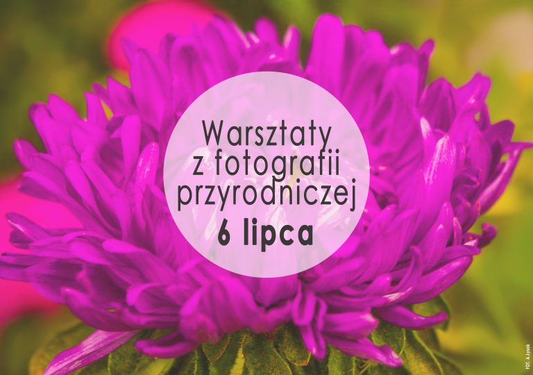 2019-05-20-baner-warsztaty-foto-2-1-768x540