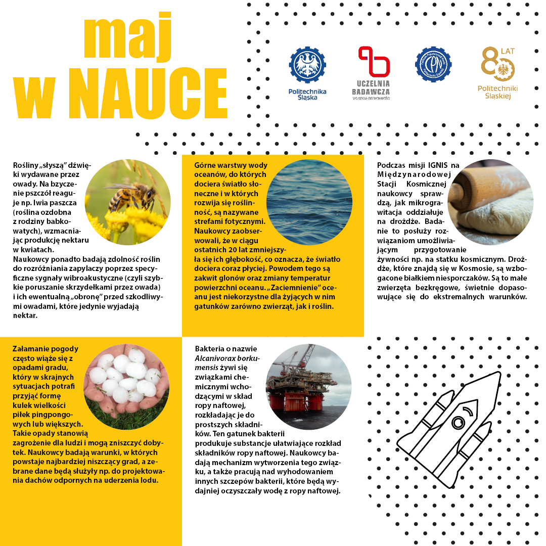 2025-06-10 maj w nauce 1080x1080