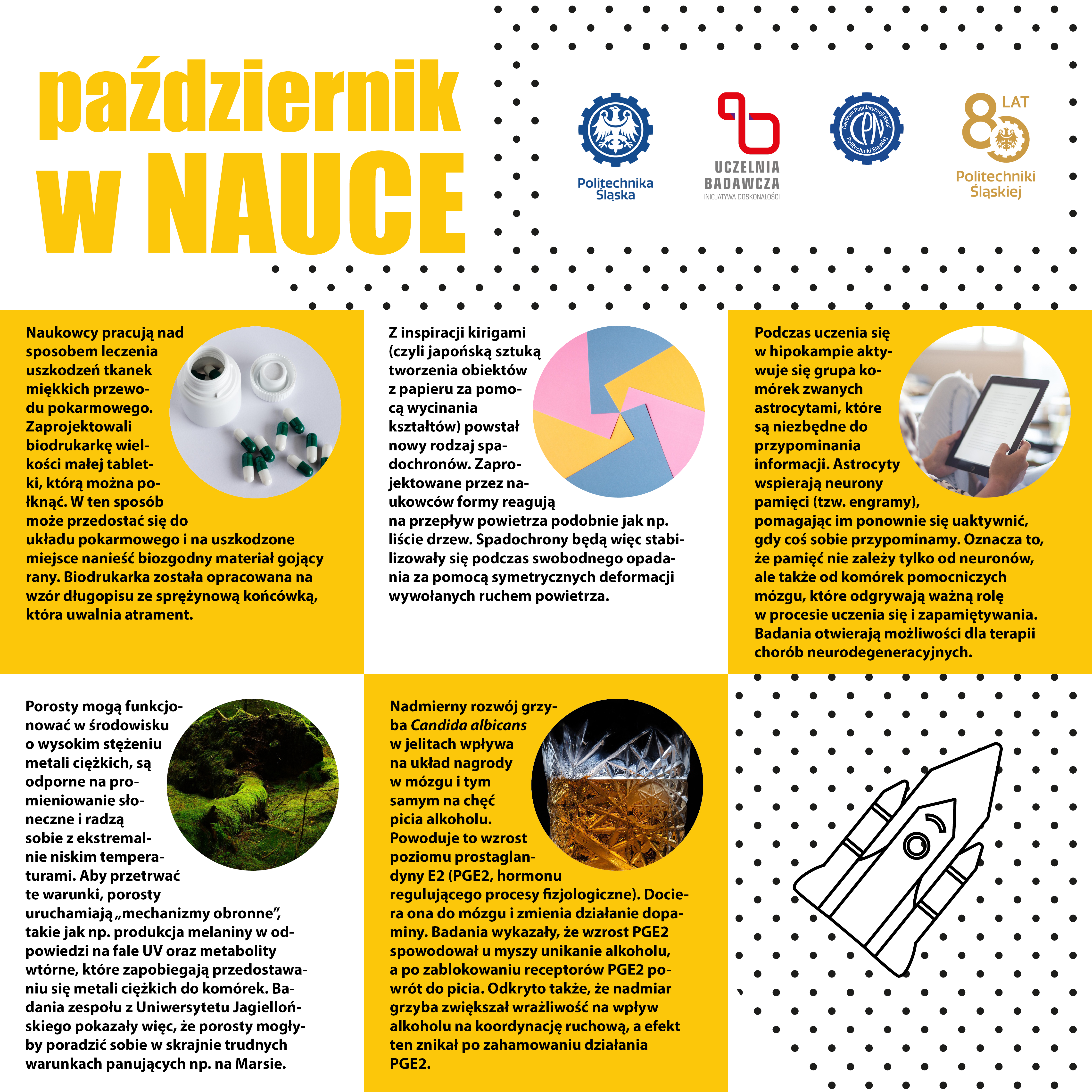 2025-10-31 październik w nauce 1080x1080