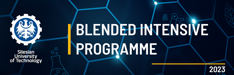 BIP Blended Intensive Programme