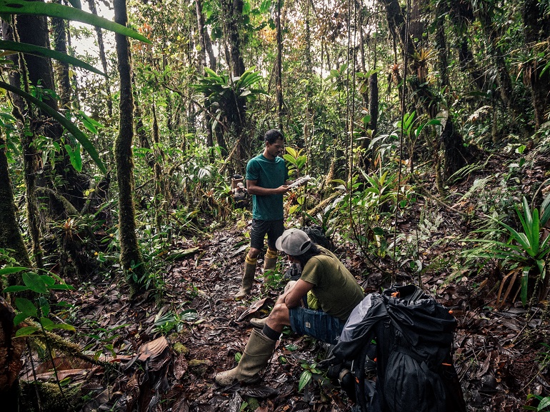 Na zdjęciu widzimy dwóch członków wyprawy w dżungli w Ameryce Południowej