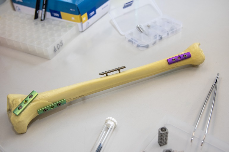 Na zdjęciu widzimy plastikowa kość zwierzącą z wbitymi implantami