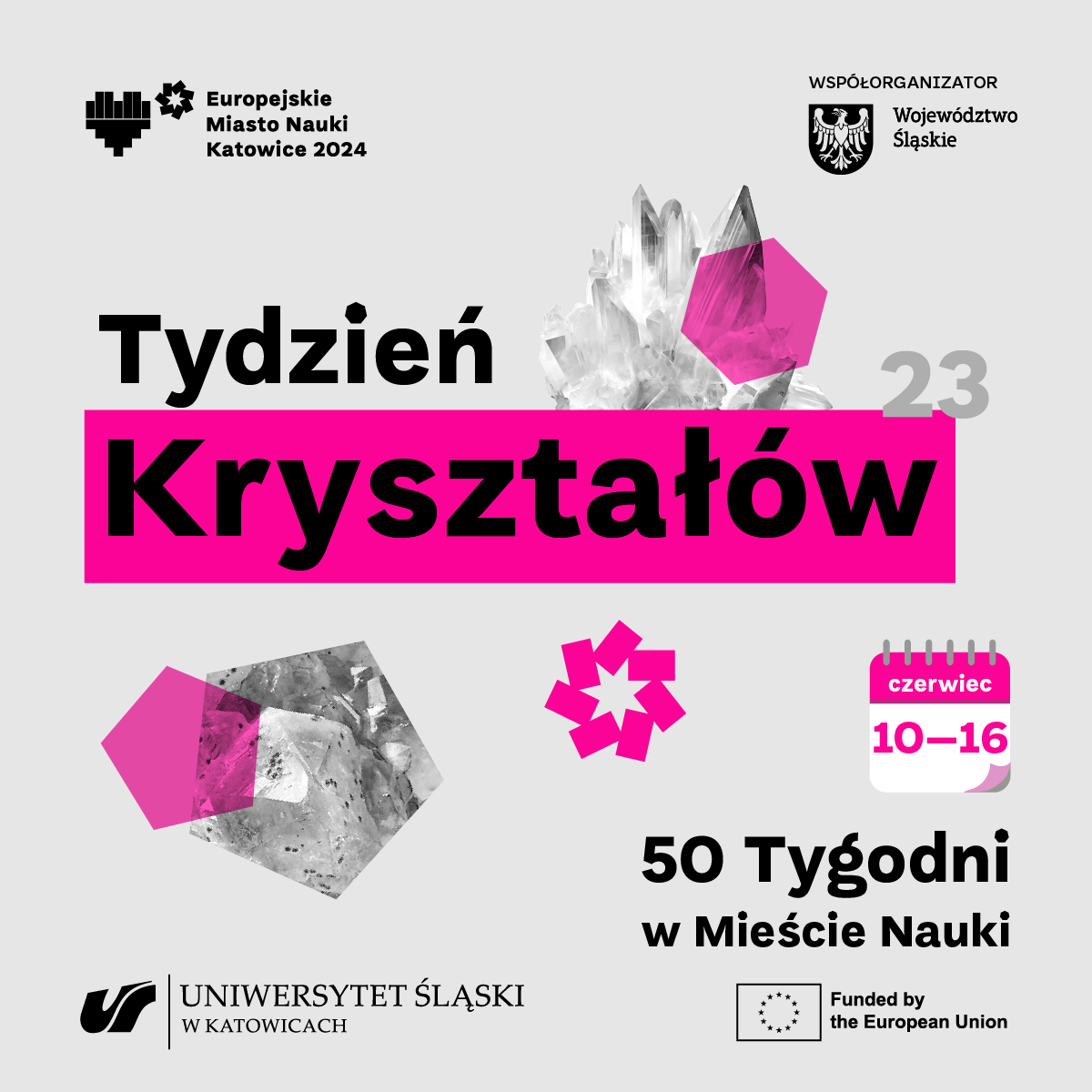 23_1200x1200_PL