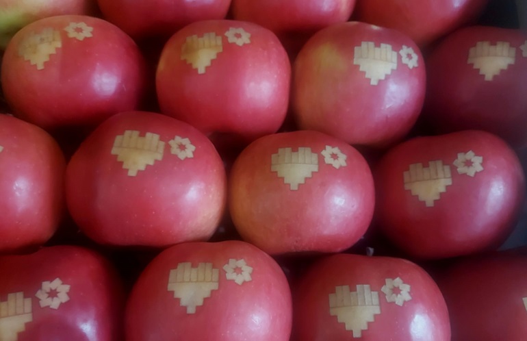 baner6