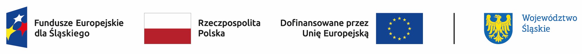 FE SL kolor poziom