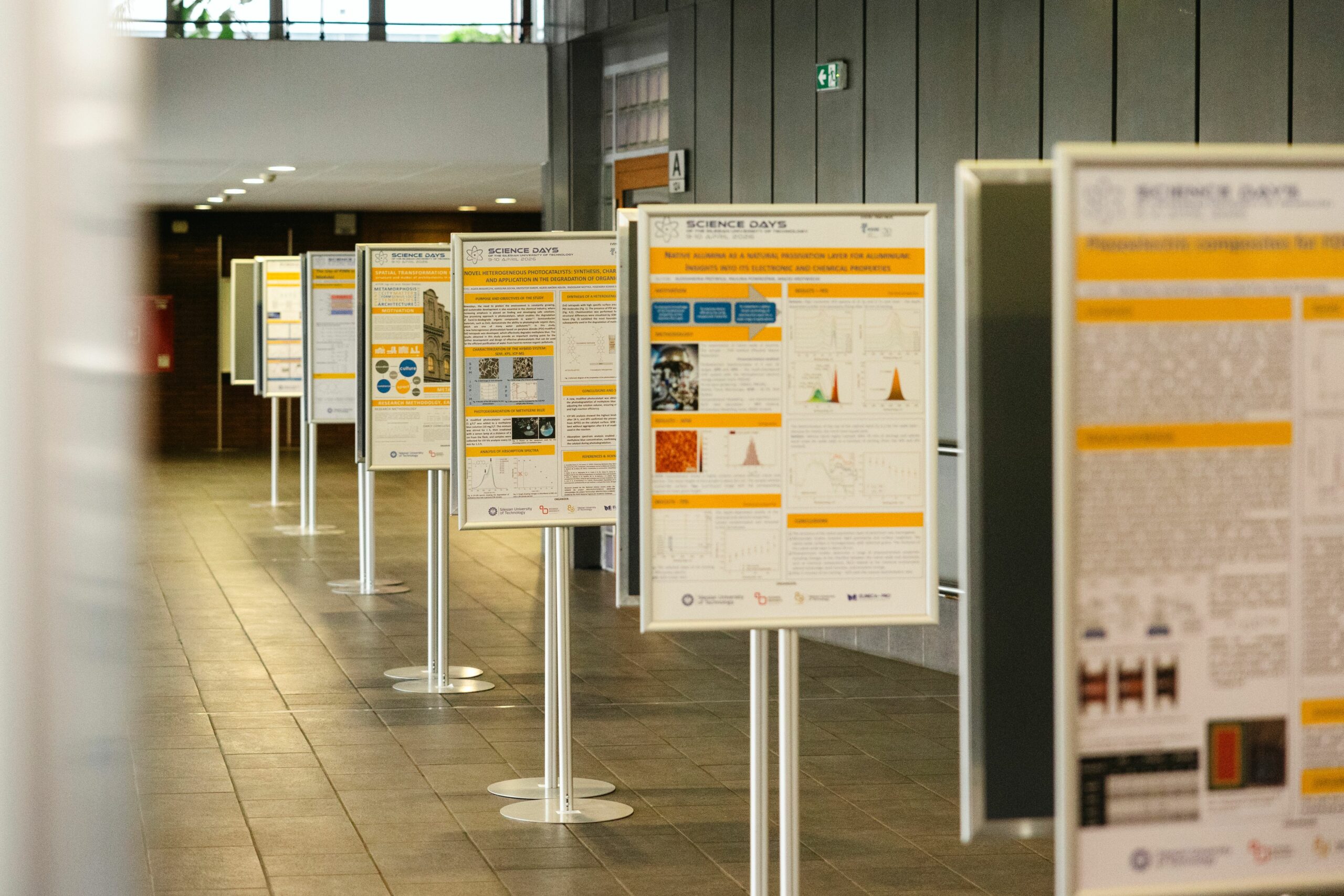 fot. Maciej Mutwil (38)